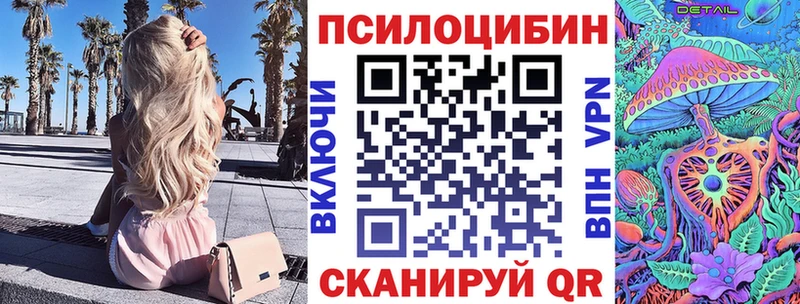 гидра маркетплейс где купить Покровск Псилоцибиновые грибы Psilocybine cubensis